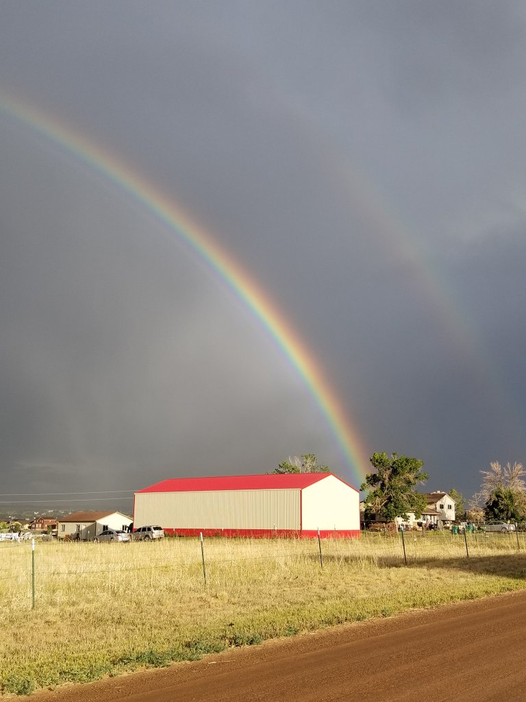 Clutch Batting Cages